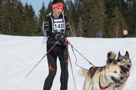 La Pesse 2014 Course de chiens de traineau (vendredi 7 Samedi 8/03/2014), IMG_4035