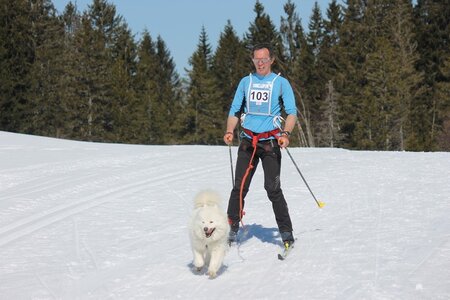 La Pesse 2014 Course de chiens de traineau (vendredi 7 Samedi 8/03/2014), IMG_4045