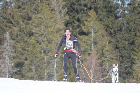 La Pesse 2014 Course de chiens de traineau (vendredi 7 Samedi 8/03/2014), IMG_4051