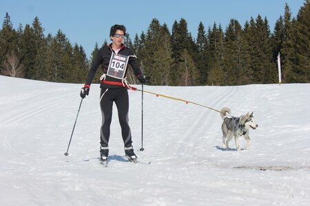 La Pesse 2014 Course de chiens de traineau (vendredi 7 Samedi 8/03/2014), IMG_4059