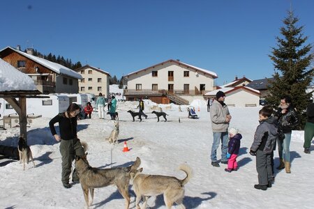 La Pesse 2014 Course de chiens de traineau (vendredi 7 Samedi 8/03/2014), IMG_4022