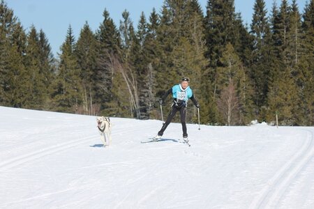 La Pesse 2014 Course de chiens de traineau (vendredi 7 Samedi 8/03/2014), IMG_4023