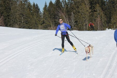 La Pesse 2014 Course de chiens de traineau (vendredi 7 Samedi 8/03/2014), IMG_4029