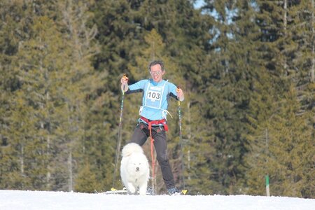 La Pesse 2014 Course de chiens de traineau (vendredi 7 Samedi 8/03/2014), IMG_4043