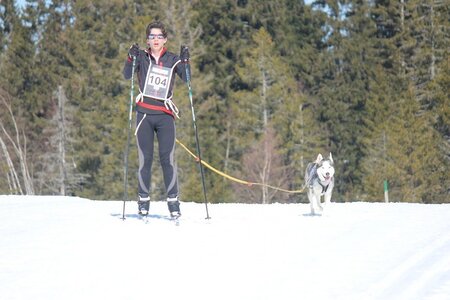 La Pesse 2014 Course de chiens de traineau (vendredi 7 Samedi 8/03/2014), IMG_4052