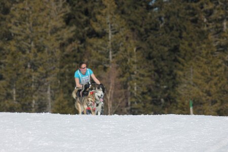 La Pesse 2014 Course de chiens de traineau (vendredi 7 Samedi 8/03/2014), IMG_4070