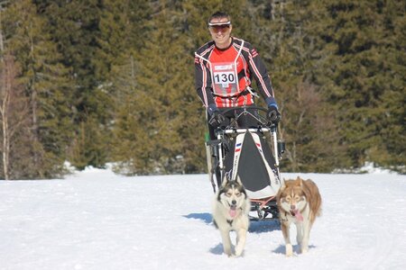 La Pesse 2014 Course de chiens de traineau (vendredi 7 Samedi 8/03/2014), IMG_4079
