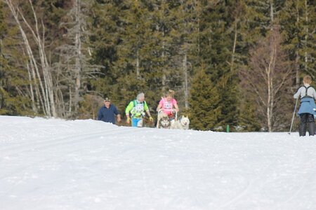 La Pesse 2014 Course de chiens de traineau (vendredi 7 Samedi 8/03/2014), IMG_4087