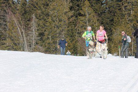 La Pesse 2014 Course de chiens de traineau (vendredi 7 Samedi 8/03/2014), IMG_4090