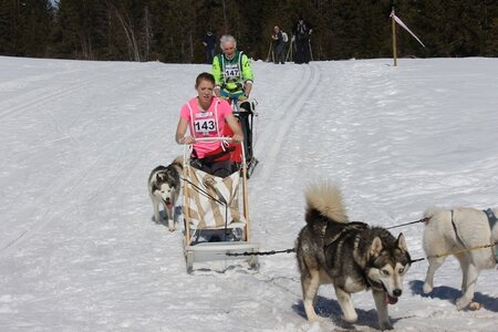 La Pesse 2014 Course de chiens de traineau (vendredi 7 Samedi 8/03/2014), IMG_4094