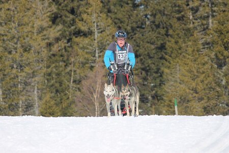 La Pesse 2014 Course de chiens de traineau (vendredi 7 Samedi 8/03/2014), IMG_4103