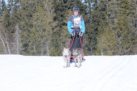 La Pesse 2014 Course de chiens de traineau (vendredi 7 Samedi 8/03/2014), IMG_4104