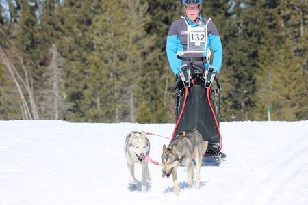 La Pesse 2014 Course de chiens de traineau (vendredi 7 Samedi 8/03/2014), IMG_4105