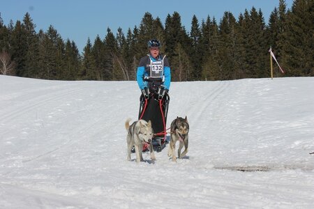 La Pesse 2014 Course de chiens de traineau (vendredi 7 Samedi 8/03/2014), IMG_4108