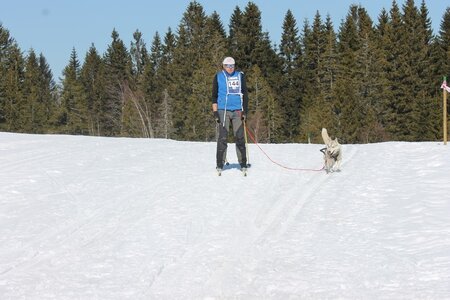 La Pesse 2014 Course de chiens de traineau (vendredi 7 Samedi 8/03/2014), IMG_4115