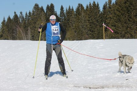 La Pesse 2014 Course de chiens de traineau (vendredi 7 Samedi 8/03/2014), IMG_4117