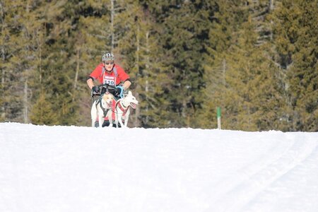 La Pesse 2014 Course de chiens de traineau (vendredi 7 Samedi 8/03/2014), IMG_4121