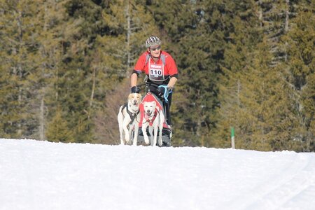 La Pesse 2014 Course de chiens de traineau (vendredi 7 Samedi 8/03/2014), IMG_4122