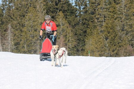 La Pesse 2014 Course de chiens de traineau (vendredi 7 Samedi 8/03/2014), IMG_4123