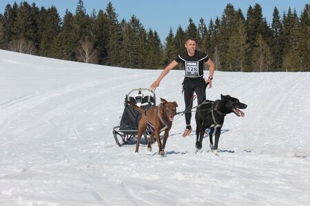 La Pesse 2014 Course de chiens de traineau (vendredi 7 Samedi 8/03/2014), IMG_4134