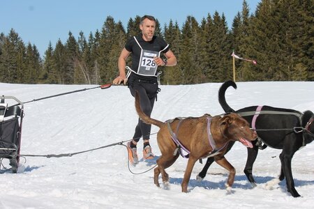 La Pesse 2014 Course de chiens de traineau (vendredi 7 Samedi 8/03/2014), IMG_4135