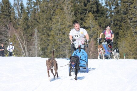 La Pesse 2014 Course de chiens de traineau (vendredi 7 Samedi 8/03/2014), IMG_4149