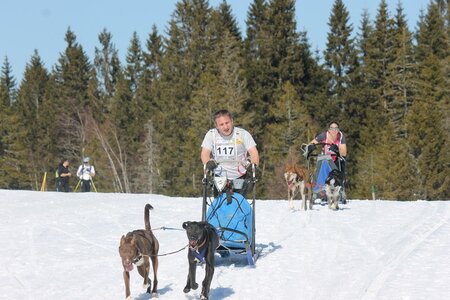 La Pesse 2014 Course de chiens de traineau (vendredi 7 Samedi 8/03/2014), IMG_4150