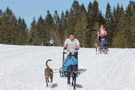 La Pesse 2014 Course de chiens de traineau (vendredi 7 Samedi 8/03/2014), IMG_4151