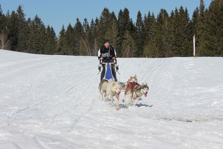 La Pesse 2014 Course de chiens de traineau (vendredi 7 Samedi 8/03/2014), IMG_4162