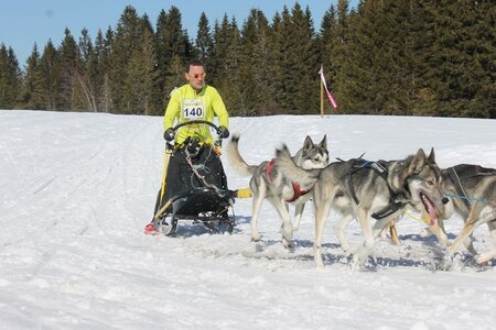 La Pesse 2014 Course de chiens de traineau (vendredi 7 Samedi 8/03/2014), IMG_4171