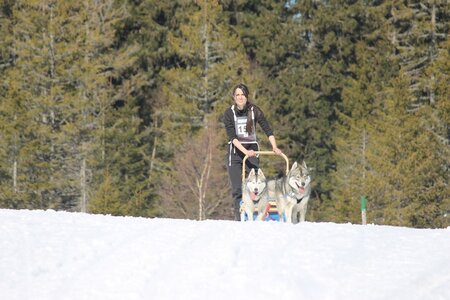 La Pesse 2014 Course de chiens de traineau (vendredi 7 Samedi 8/03/2014), IMG_4174