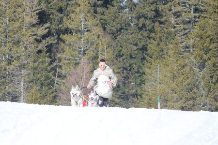 La Pesse 2014 Course de chiens de traineau (vendredi 7 Samedi 8/03/2014), IMG_4180