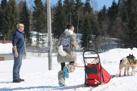 La Pesse 2014 Course de chiens de traineau (vendredi 7 Samedi 8/03/2014), IMG_4189