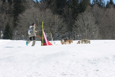 La Pesse 2014 Course de chiens de traineau (vendredi 7 Samedi 8/03/2014), IMG_4192