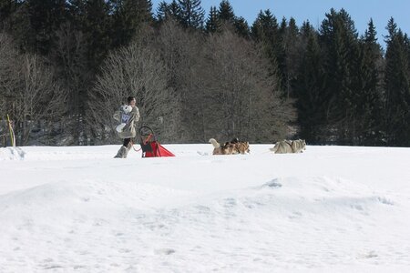 La Pesse 2014 Course de chiens de traineau (vendredi 7 Samedi 8/03/2014), IMG_4193