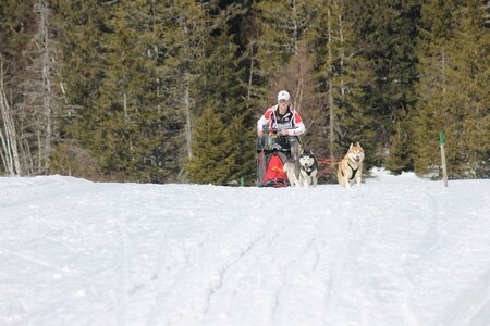 La Pesse 2014 Course de chiens de traineau (vendredi 7 Samedi 8/03/2014), IMG_4197