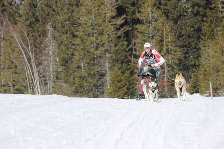 La Pesse 2014 Course de chiens de traineau (vendredi 7 Samedi 8/03/2014), IMG_4198
