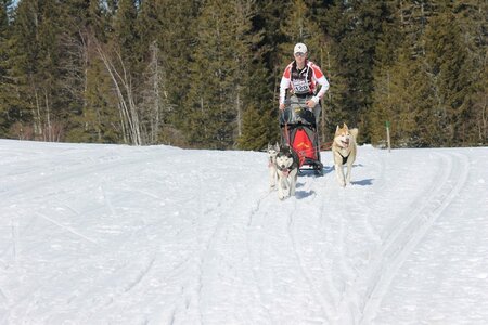La Pesse 2014 Course de chiens de traineau (vendredi 7 Samedi 8/03/2014), IMG_4199
