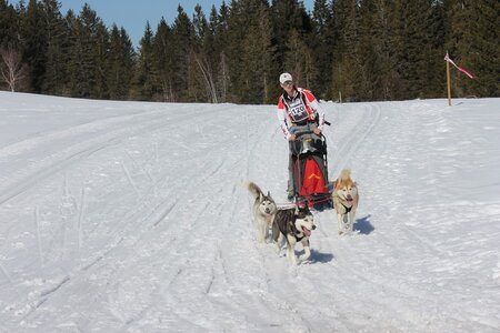 La Pesse 2014 Course de chiens de traineau (vendredi 7 Samedi 8/03/2014), IMG_4202