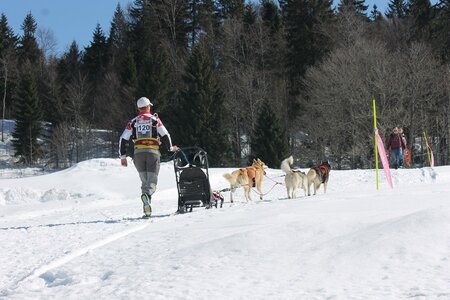 La Pesse 2014 Course de chiens de traineau (vendredi 7 Samedi 8/03/2014), IMG_4205