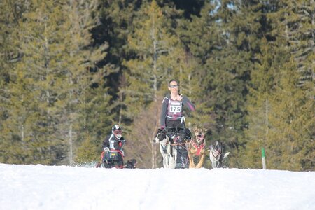 La Pesse 2014 Course de chiens de traineau (vendredi 7 Samedi 8/03/2014), IMG_4225