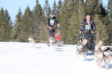 La Pesse 2014 Course de chiens de traineau (vendredi 7 Samedi 8/03/2014), IMG_4254