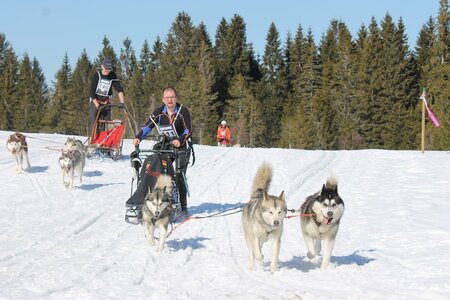 La Pesse 2014 Course de chiens de traineau (vendredi 7 Samedi 8/03/2014), IMG_4256