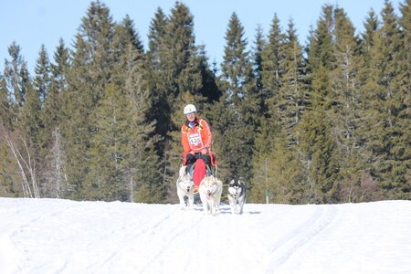 La Pesse 2014 Course de chiens de traineau (vendredi 7 Samedi 8/03/2014), IMG_4258