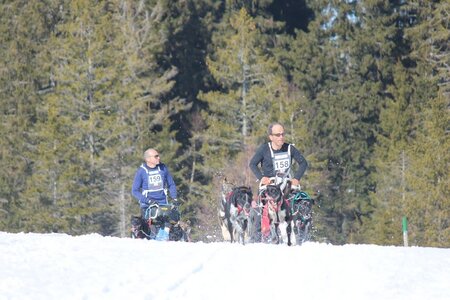 La Pesse 2014 Course de chiens de traineau (vendredi 7 Samedi 8/03/2014), IMG_4263
