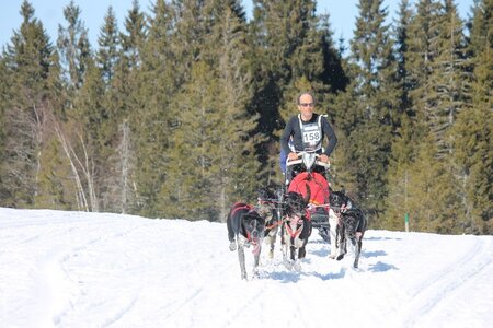 La Pesse 2014 Course de chiens de traineau (vendredi 7 Samedi 8/03/2014), IMG_4266