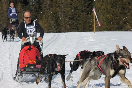 La Pesse 2014 Course de chiens de traineau (vendredi 7 Samedi 8/03/2014), IMG_4269
