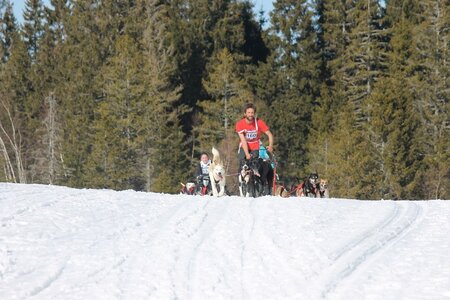 La Pesse 2014 Course de chiens de traineau (vendredi 7 Samedi 8/03/2014), IMG_4275