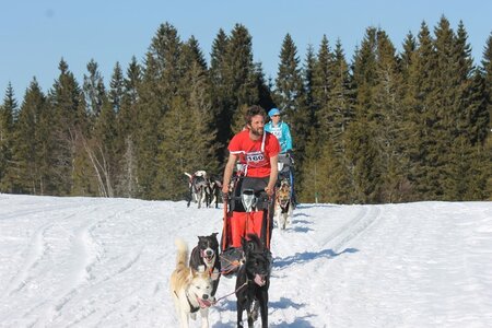 La Pesse 2014 Course de chiens de traineau (vendredi 7 Samedi 8/03/2014), IMG_4279