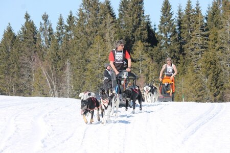La Pesse 2014 Course de chiens de traineau (vendredi 7 Samedi 8/03/2014), IMG_4300